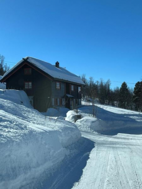 Spacious cabin with beautiful Geilo views